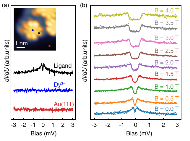 Differential conductance of a Single Molecule Magnet at various magnetic field