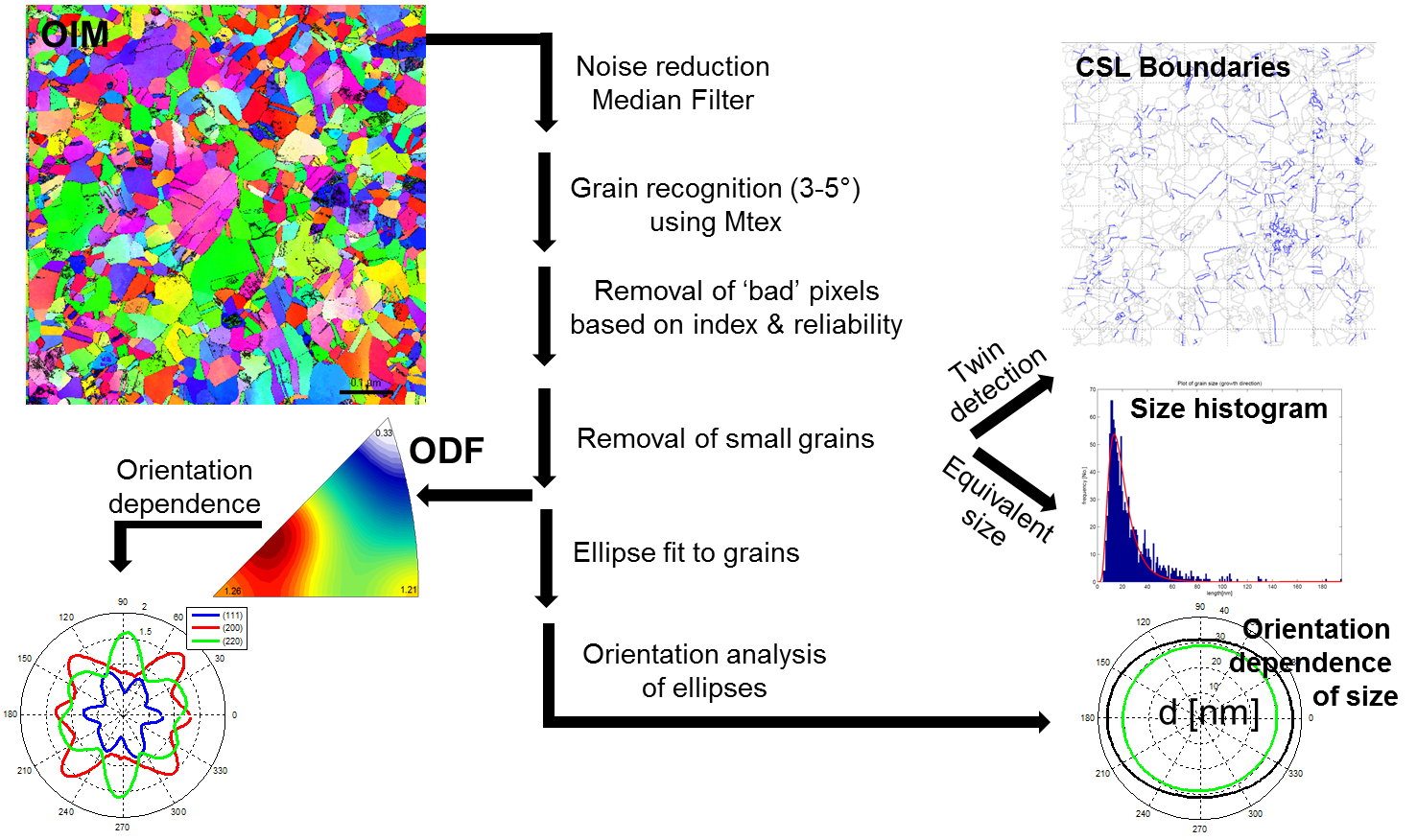 ACOM Quantification