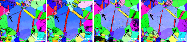 Grain growth during in-situ straining in ncAu