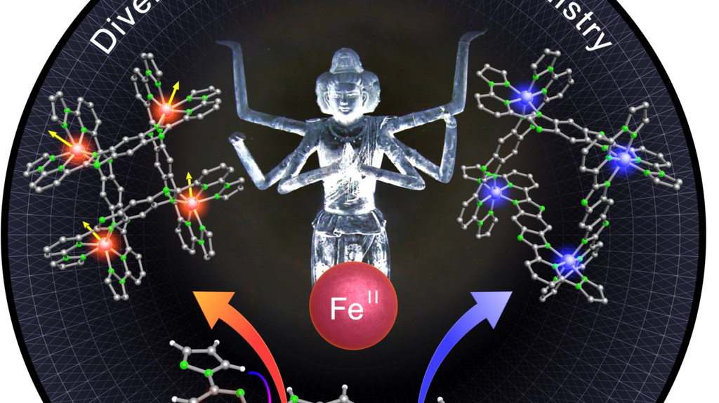 Divergent Coordination Chemistry