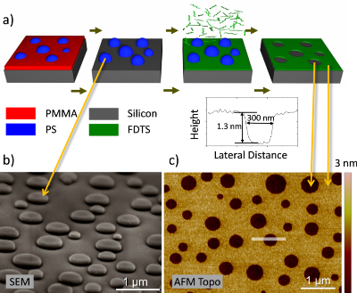  Polymer blend lithography: A versatile method to fabricate nanopatterned self-assembled monolayers 