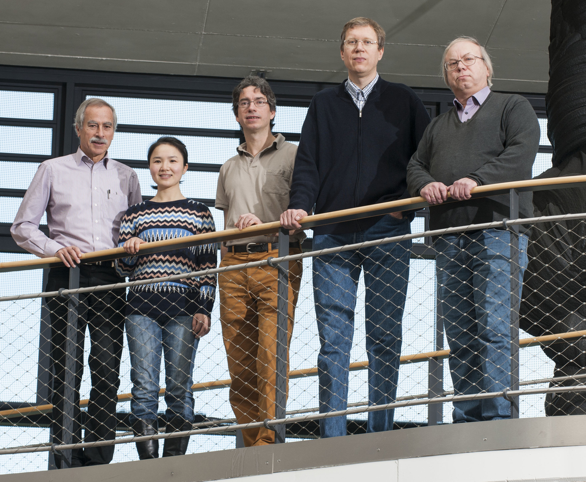 Group picture of the Schön research unit
