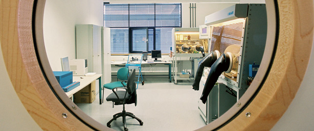 View through window in laboratory door