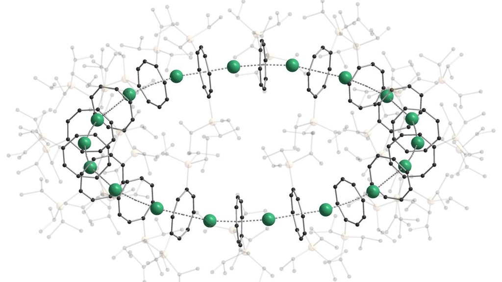 Structural sketch of a nanoring formed of organometallic sandwich complexes