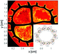 Characterisation and application of ultra-high spin clusters as magnetic resonance relaxation agents