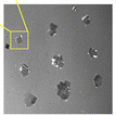 Dip-Pen Nanolithography-Assisted Protein Crystallization