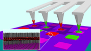 lipid membrane