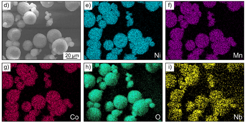 EDX maps of coated NCM622