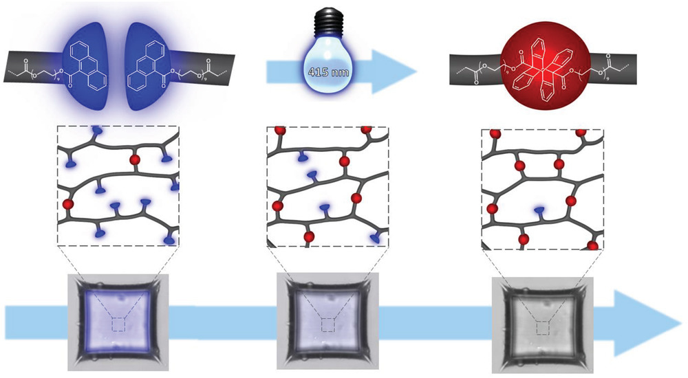 Connecting polymer networks by light