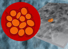 Sketch of reactive LI ion intercalation