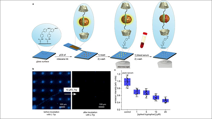 Schematic process of immobilization of a cucurbit[8]uril-based rotaxane chemosensor into microarrays for sensing of trypthophan in blood serum.