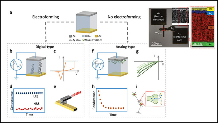 Schematic functional overview of the device behavior