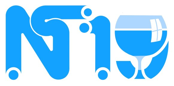 NT19logo