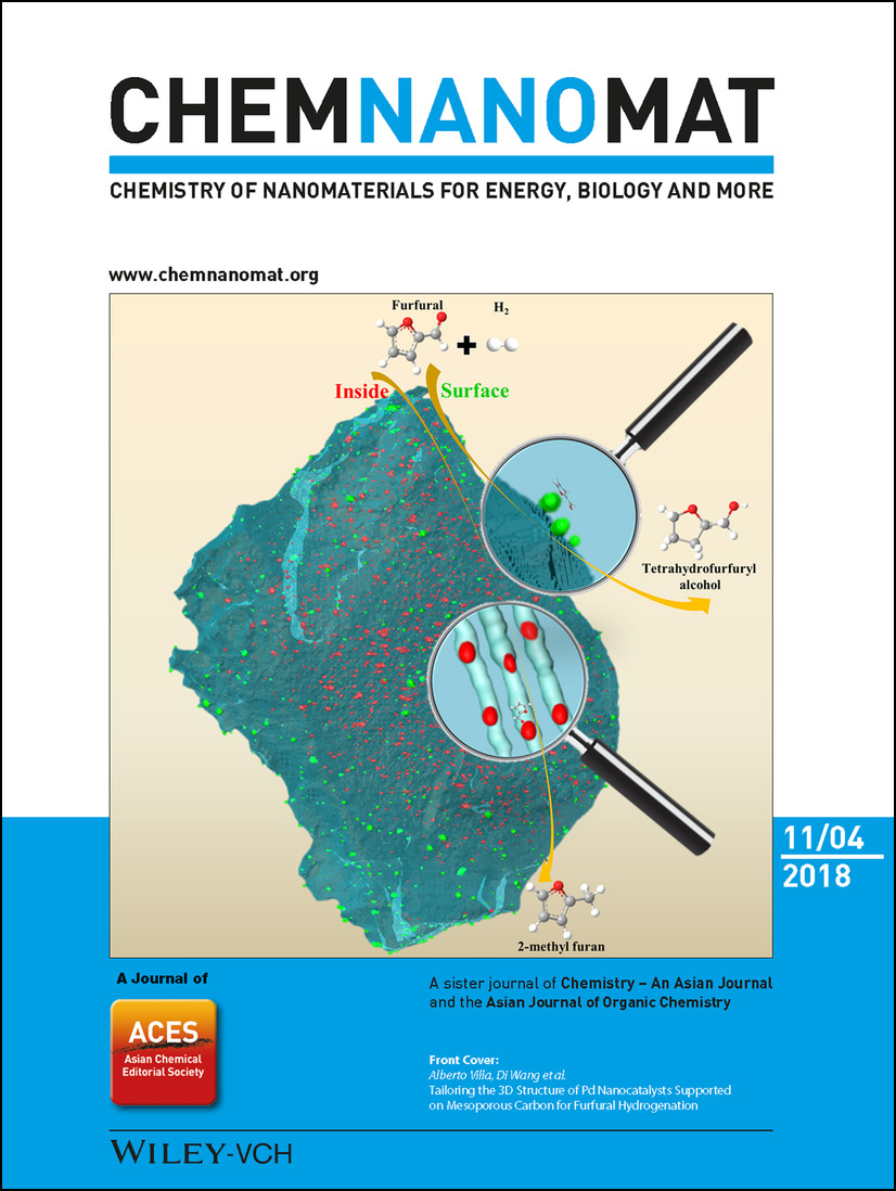 ChemNanoMat 2018