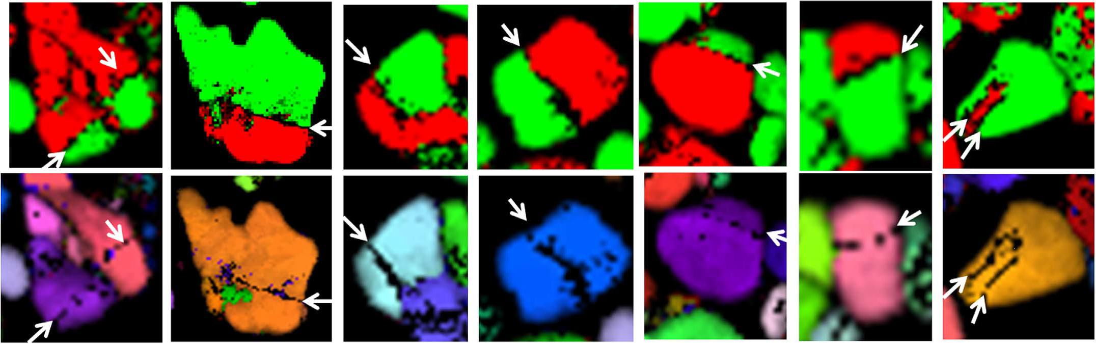 Interface Orientation in LFP/FP single crystals