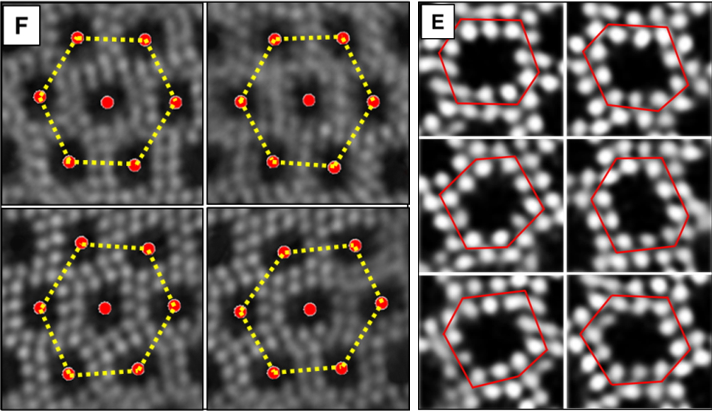 Low-dose STEM image of POM-C4-POSS with structural distotions