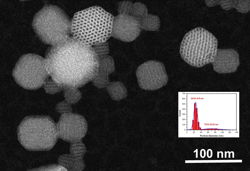 Low-dose STEM imaging of POM-C4-POSS