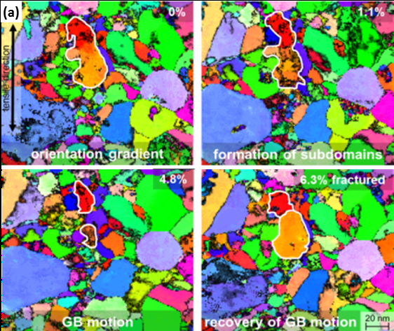 2016 Beilstein in situ TEM