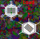 ACOM-STEM image of ncNi with deformation processes overlaid