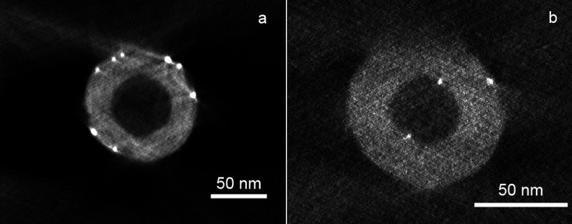 Electron tomographic analysis of Au(PVA) on N-CNF