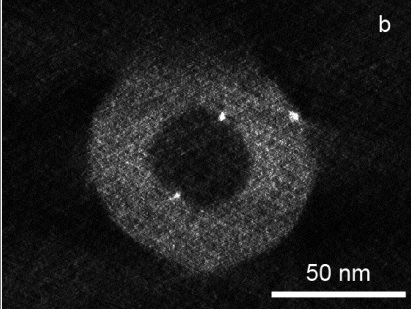 Cross sectional slices derived from electron tomography showing a) preformed Au(PVA) particles exclusively situated on the outer surface of N-CNF and b) Au particles prepared by impregnation situated on both inner- and outer-surfaces of N-CNF.