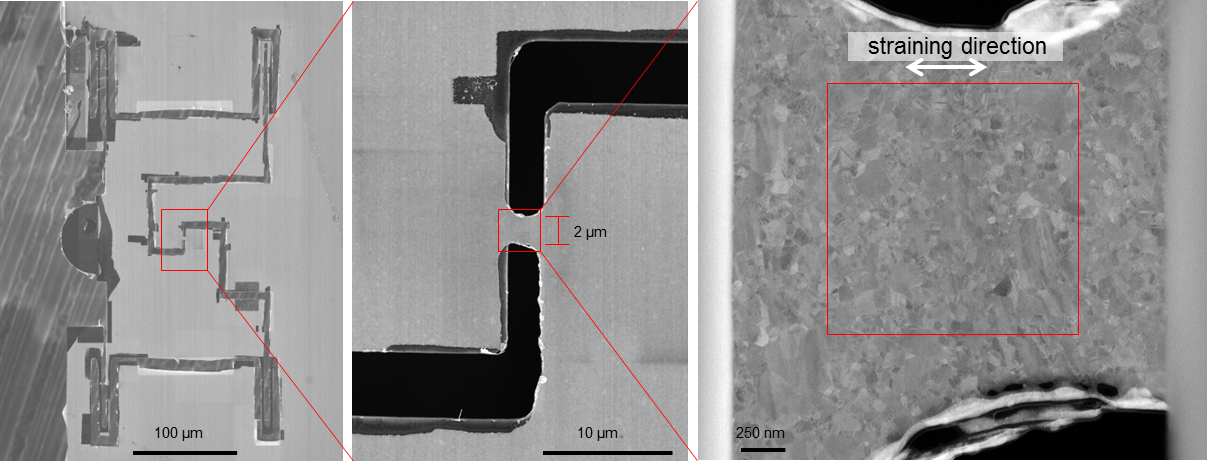 PTP for in-situ straining in the TEM