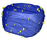 Surface Rendering Catalyst