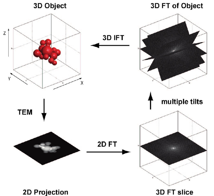 Schematic Electron Tomography Reconstruction - Fourier Space appoach