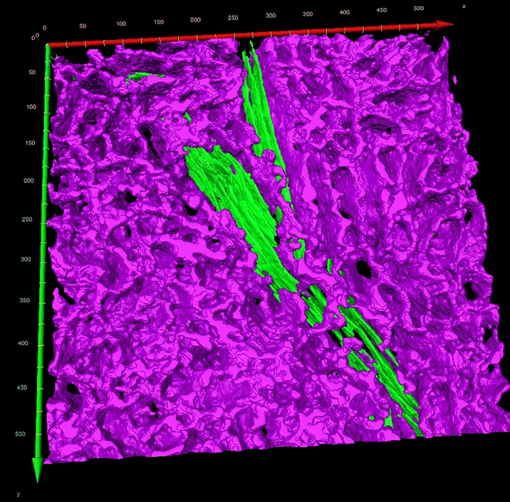 Block copolymer with exfoliated silicates