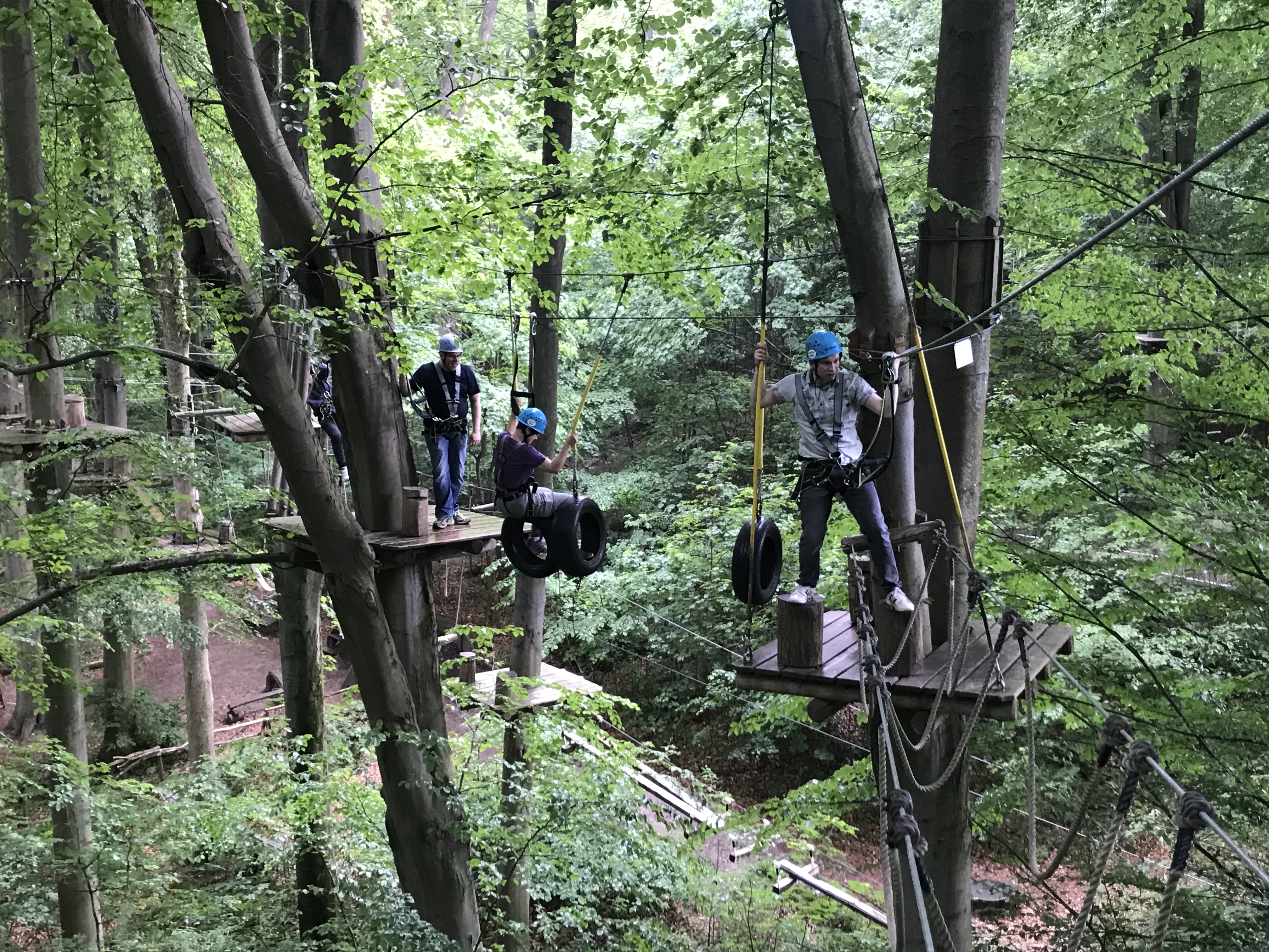 Mastering the high rope garden