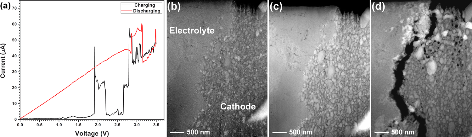 In situ TEM full cell