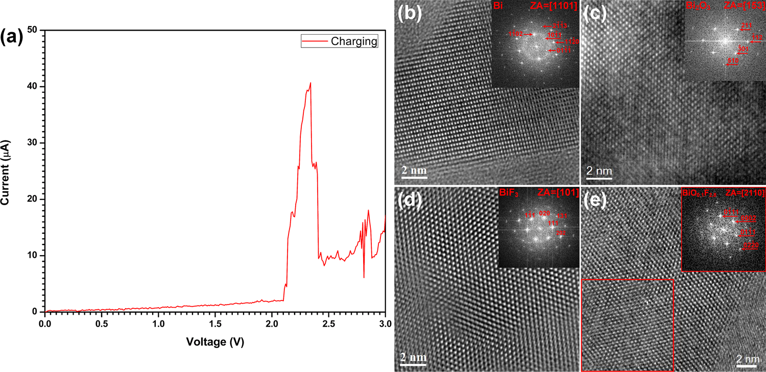 In situ TEM Half Cell