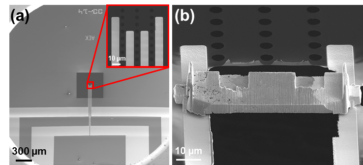 In situ TEM battery