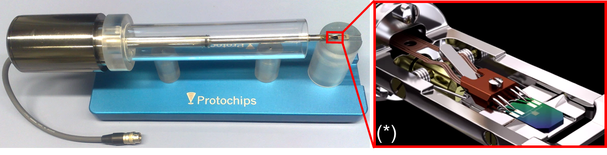 In situ TEM holder - Fusion