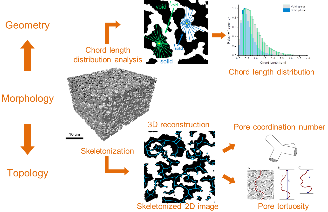 Morphology Quantification