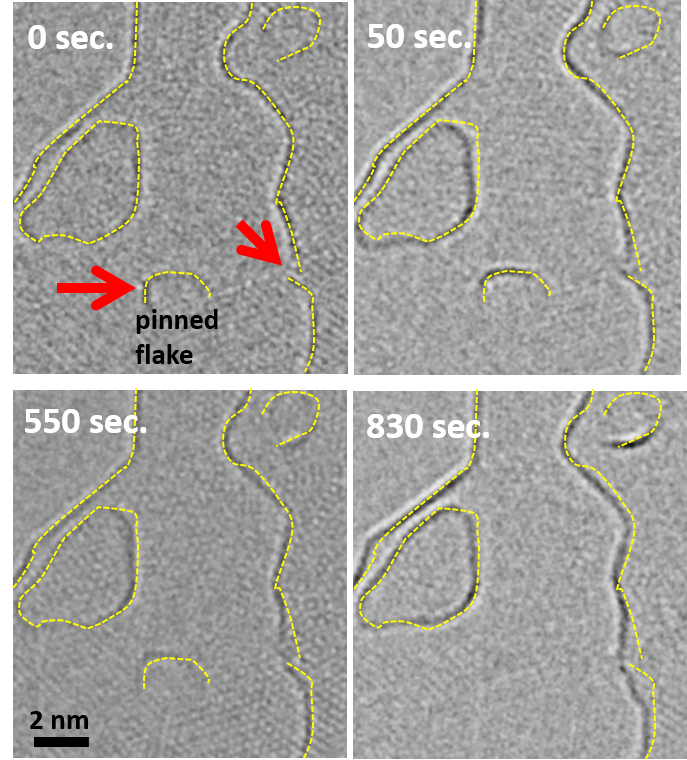 In-situ TEM of Ostwald ripening in nanocrystalline graphene 