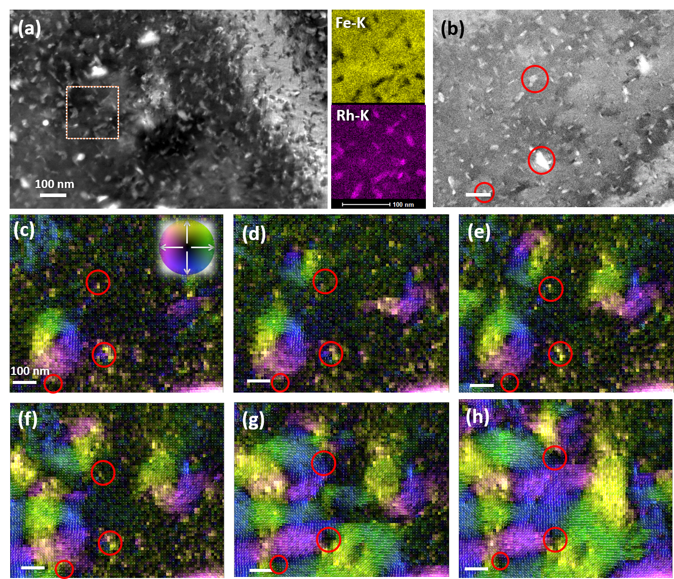 In-situ STEM DPC following the AF-FM transition in FeRh