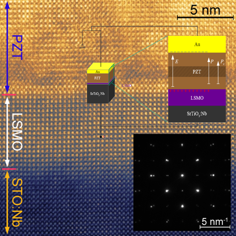 Multiferroic Thin Films