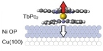 Single molecule magnets coupled to ferromagnetic surfaces