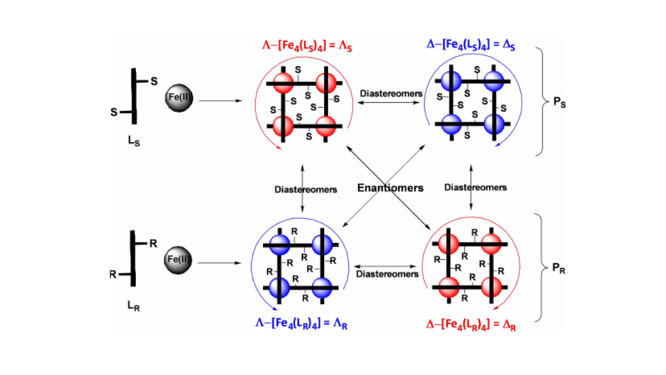 spin-Crossover Active Iron(II) [2x2] 