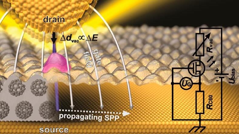 Ir(ppy)3 as quantum transducer