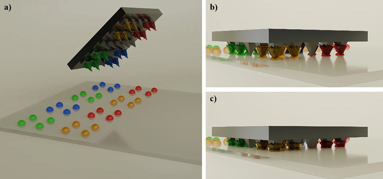 PPL Stamp printing an multiplexed Assay