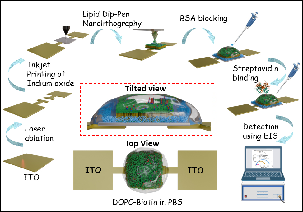 Scheme of Sensor Work Flow