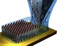 lipid dip-pen nanolithography