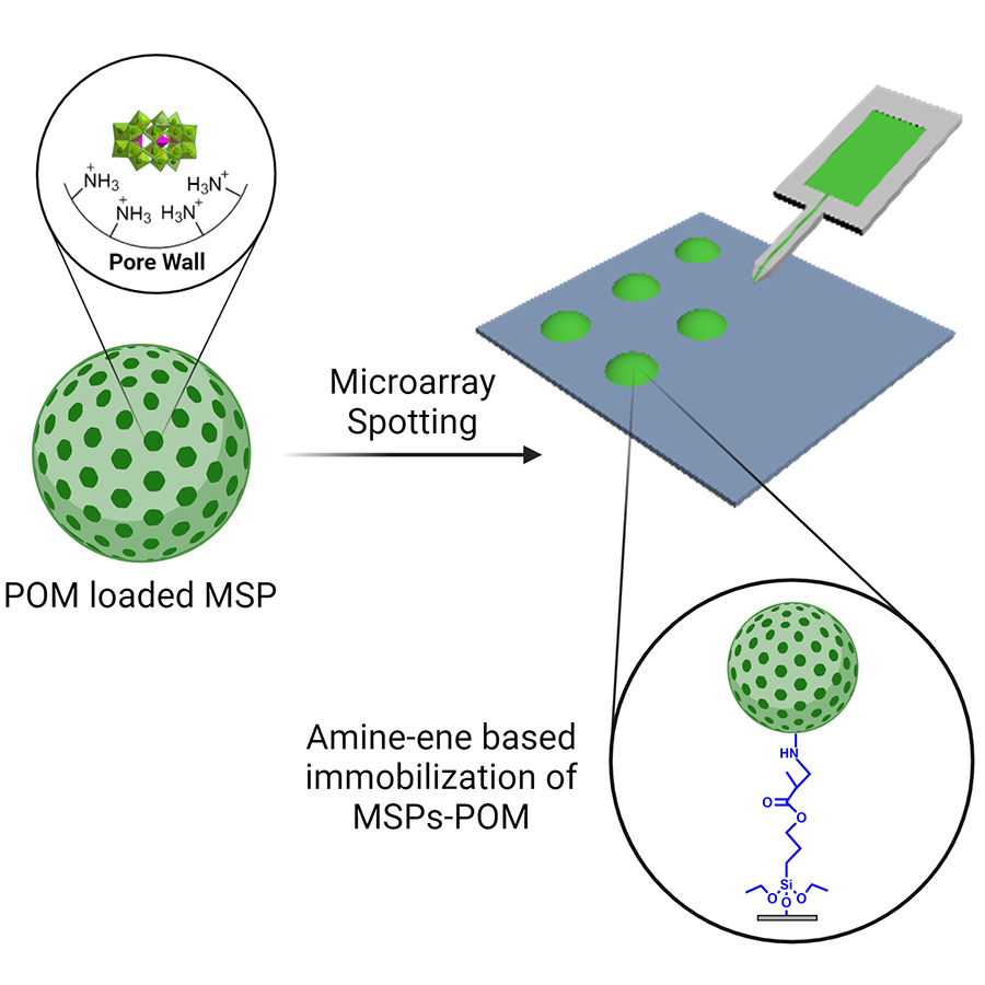 Scheme of MSP-POM immobilization