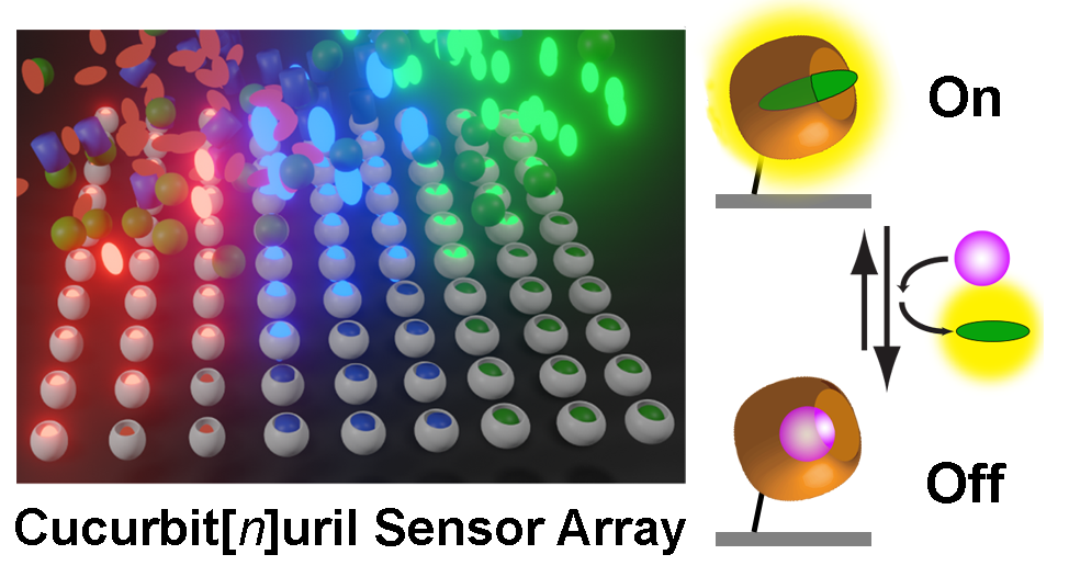 Scheme Cucurbituril-Arrays