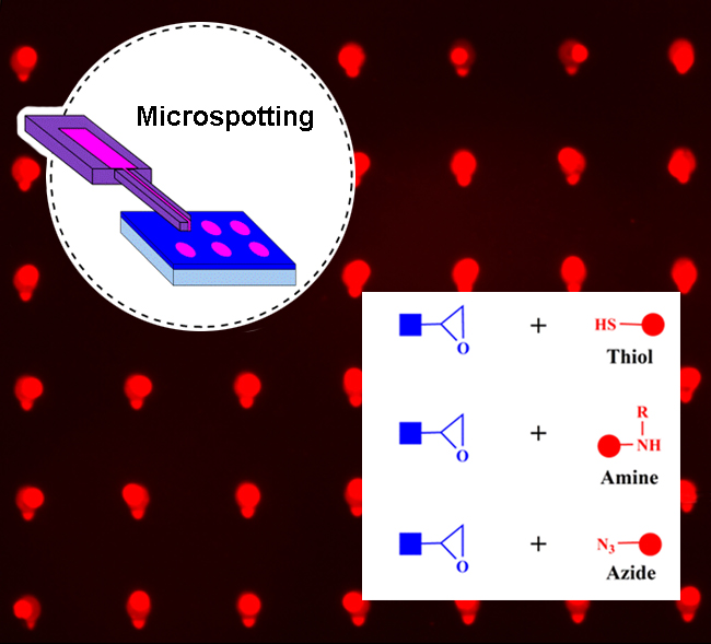 Array Immobilization via Epoxide Ring-Opening