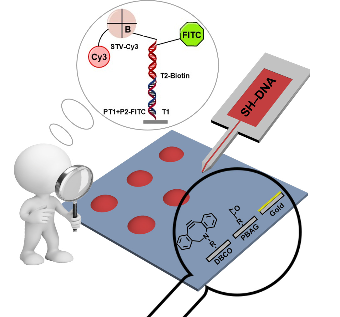 DNA Immobilization