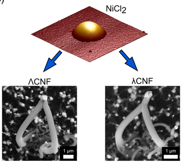 Lambda shaped carbon nanofibres