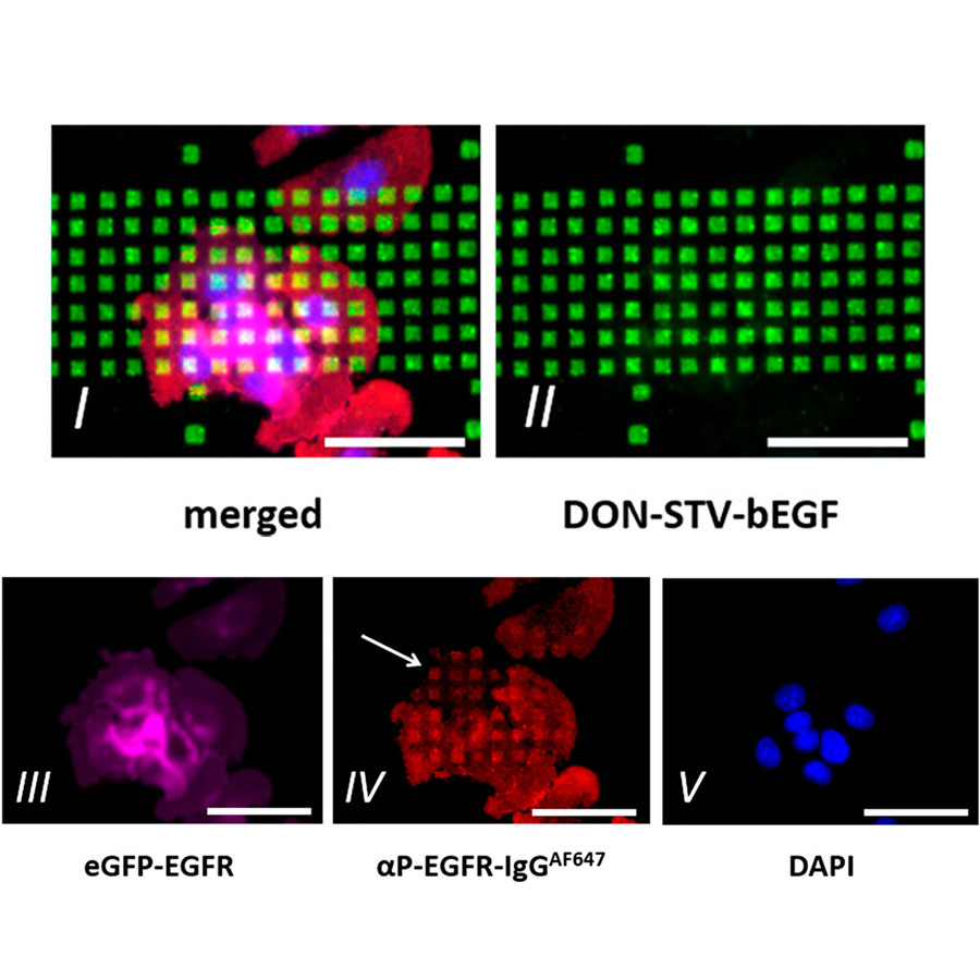 Microarrays for MOSAIC